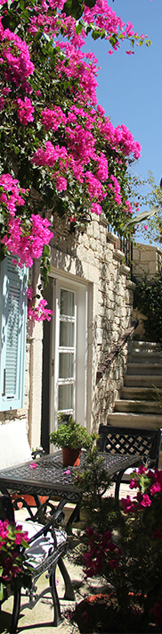 Alaçatı İncirliev